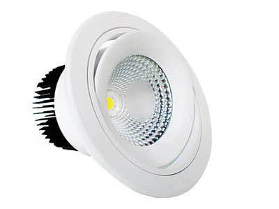 Đèn LED Downlight 25W MDL024