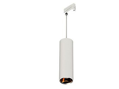 ĐÈN CHIẾU ĐIỂM 30W MSE153